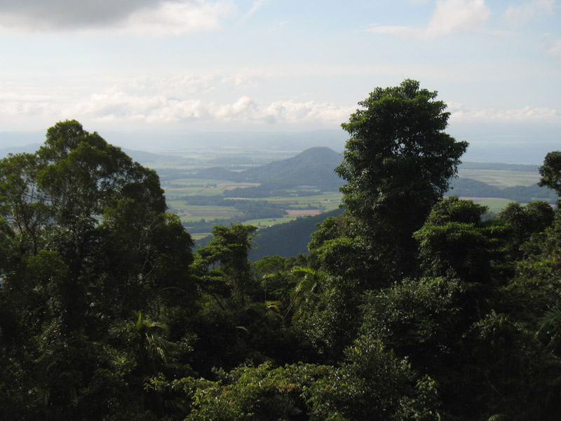 Lakefield National Park - Walkabout